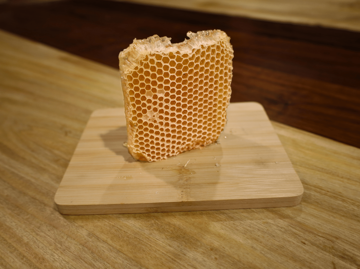 Honey Comb - Nature's Sweet Frame