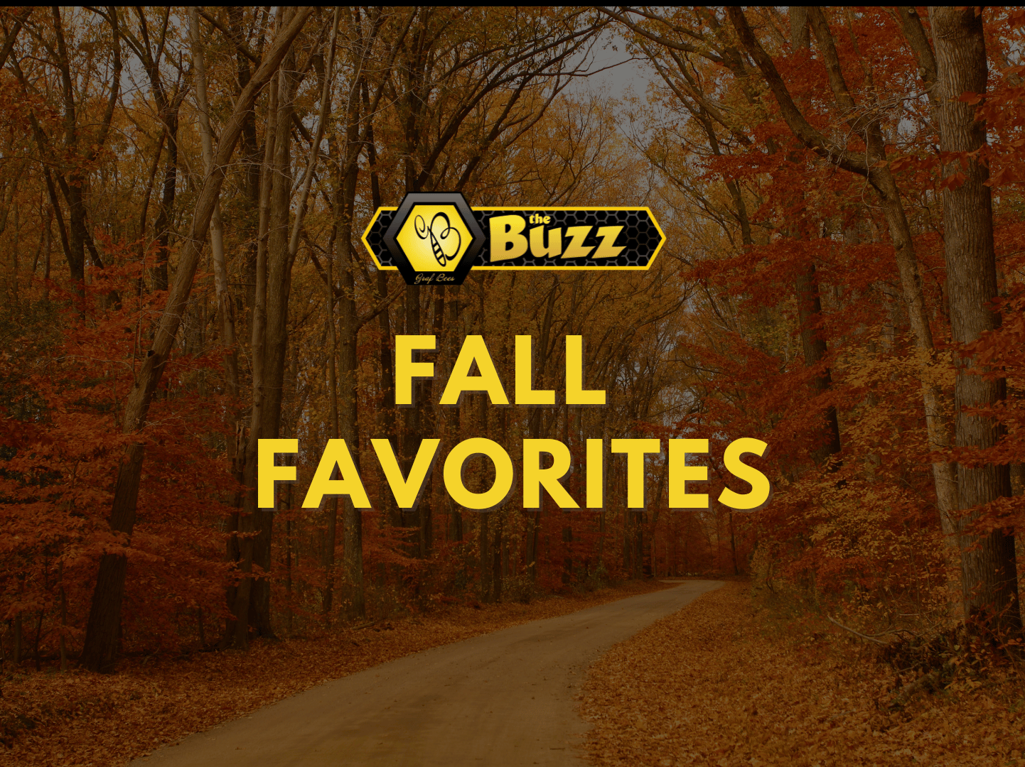 Fall Favorites | Raw Honey, Bee Pollen & Beeswax Skincare